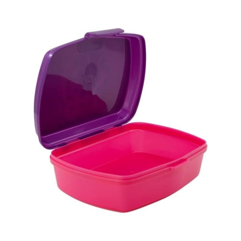 Contenitore Portapranzo Porta Merenda Scatola Sandwich Box Bambini Rainbow High