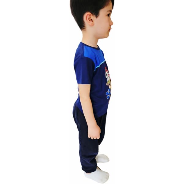 Maglietta in Cotone Maglia  Ragazzo T-Shirt Abbigliamento Bambino  Paw Patrol 4 Anni (IT, età, 5 Anni, Regular, Bambino, Blu)