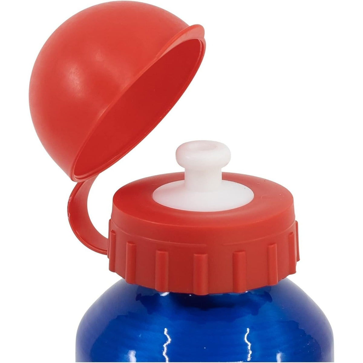 SUPER MARIO - Borraccia ufficiale Scuola Bottiglia Sport in lega di Alluminio per Bambini e Ragazzi 400ml con beccuccio 